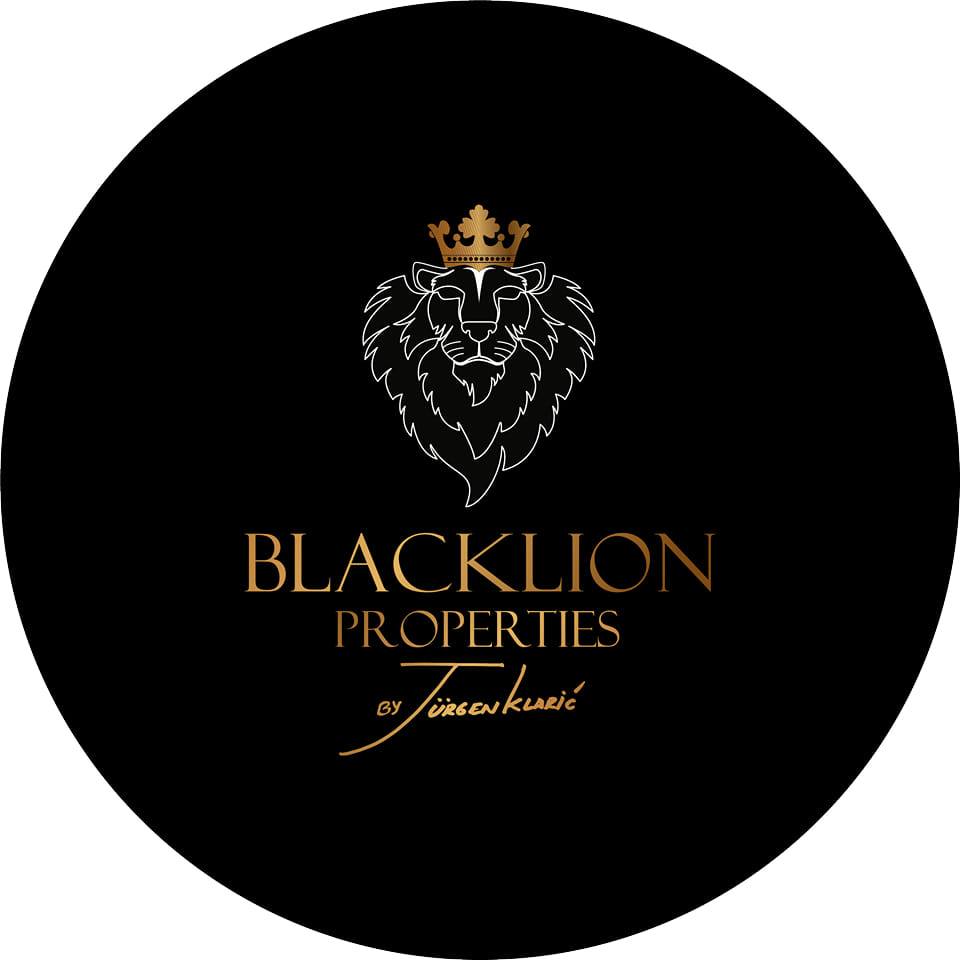 Black Lion Properties