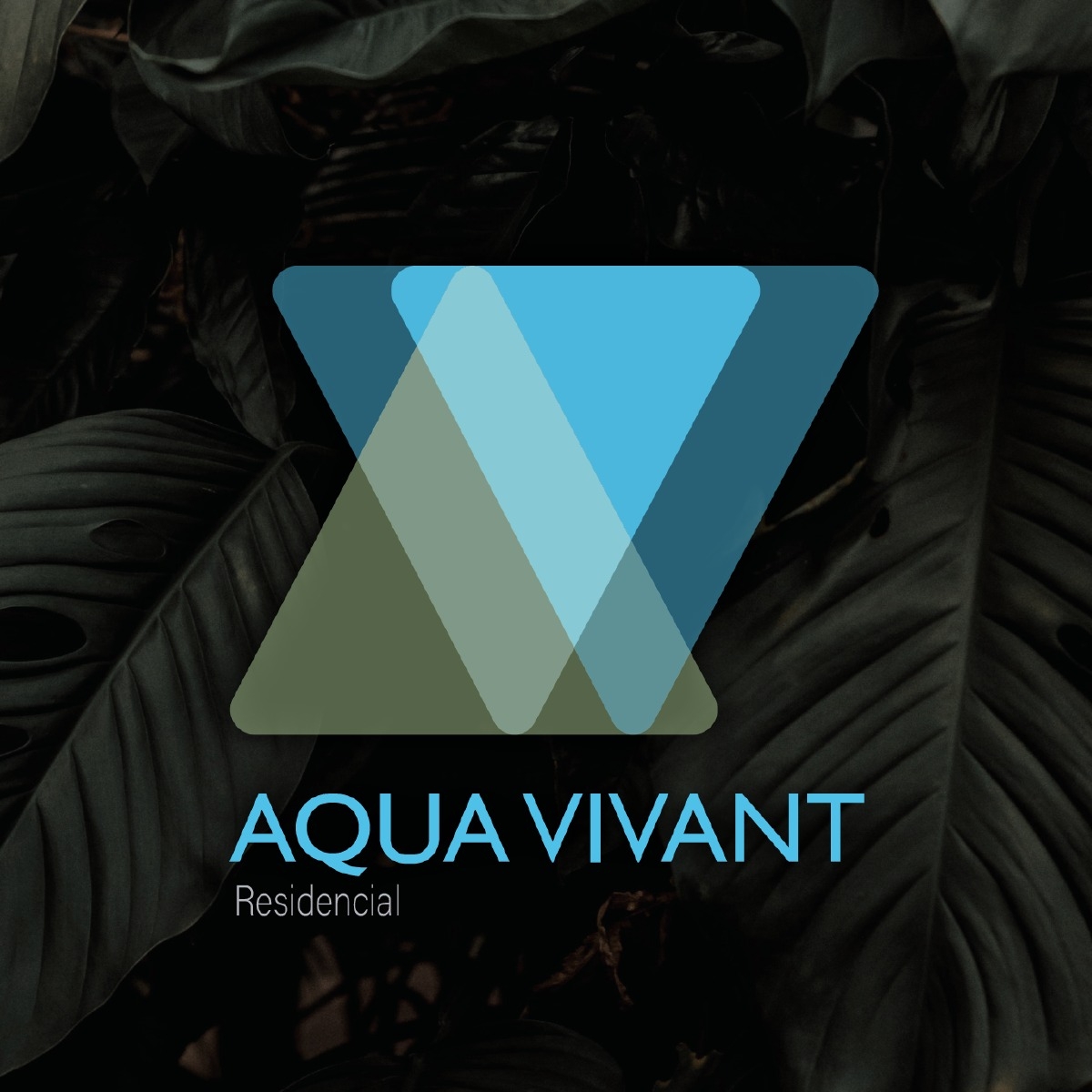 AQUA VIVANT