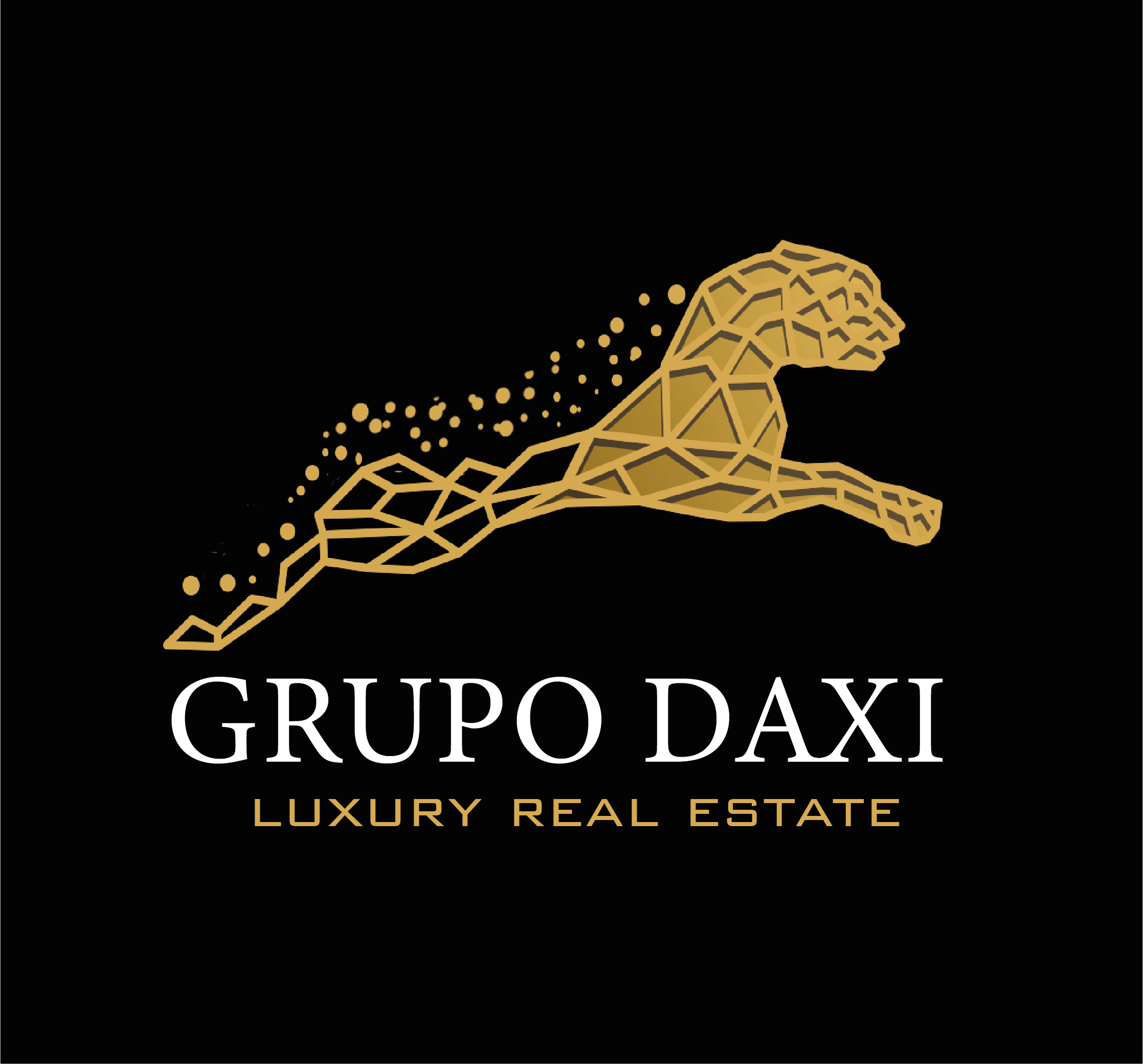 Grupo Daxi