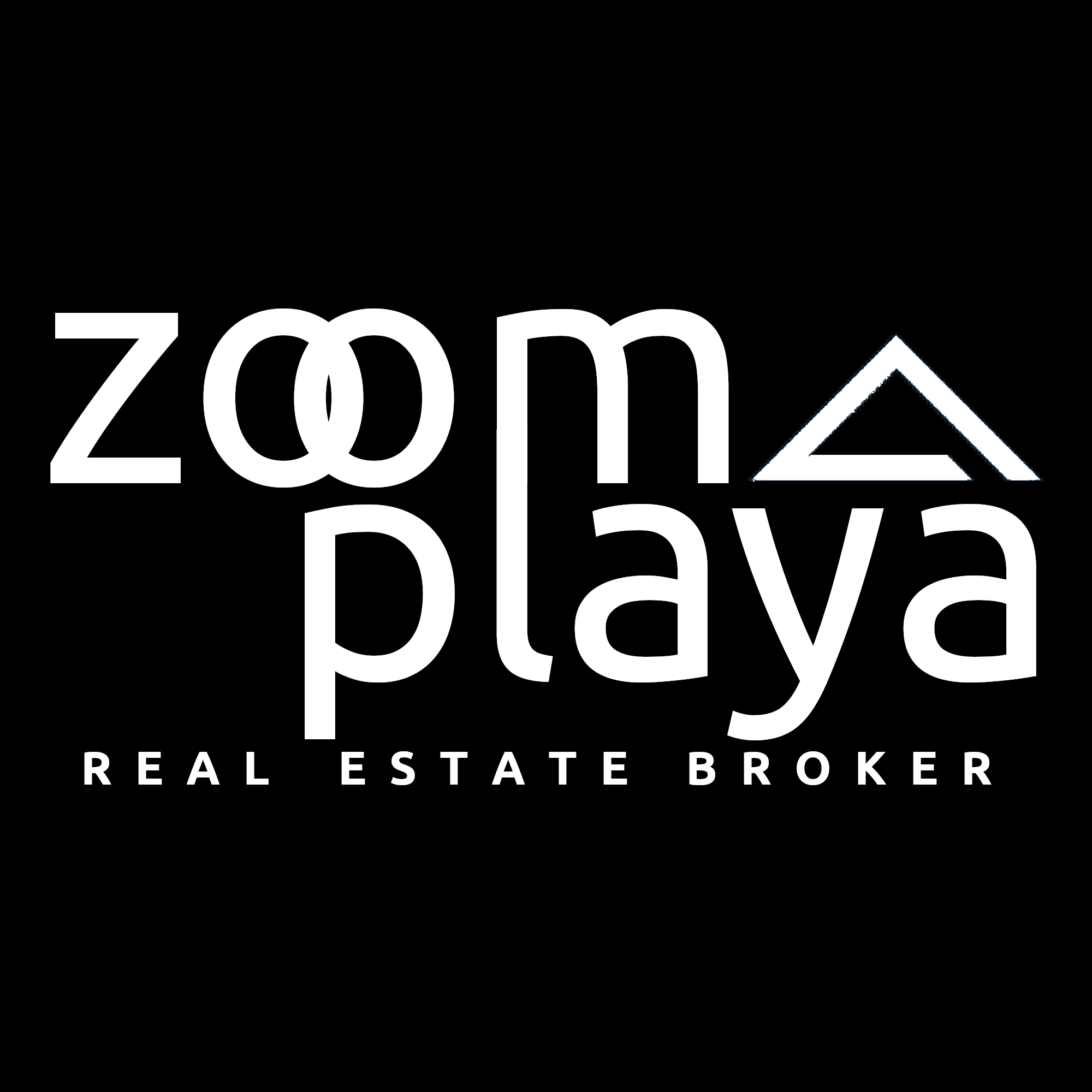 Zoom Playa Real Estate 